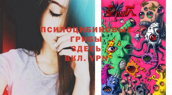 МДМА Алексеевка